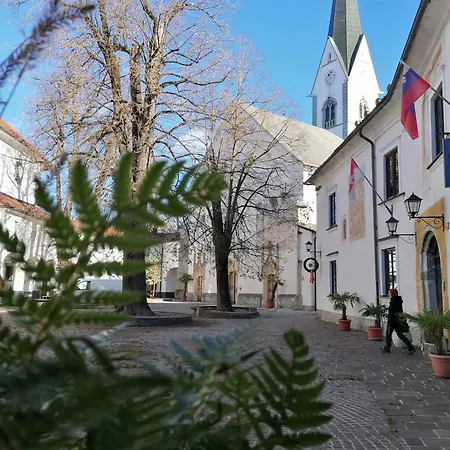Vila Radolca Apartments & Rooms Radovljica Exterior foto