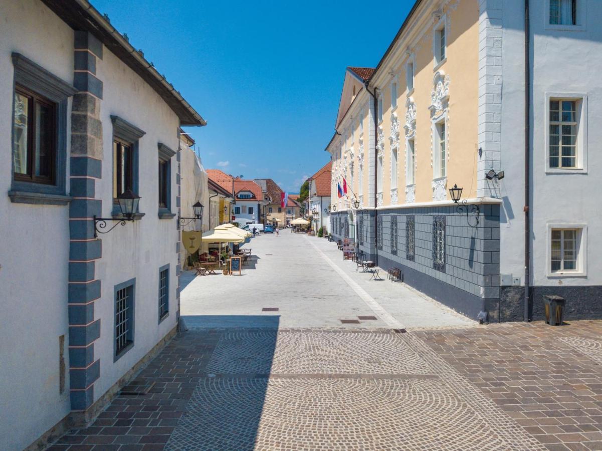 Radolca & Apartment Radovljica